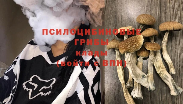 a pvp Баксан